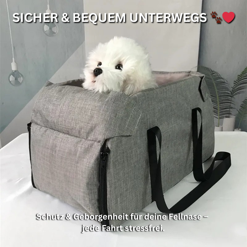 RideBuddy™ – Große Sicherheit, für kleine Pfoten